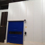 Plants: imagen 1 de 6