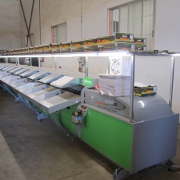 Plants: imagen 2 de 6