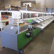 Plants: imagen 3 de 6