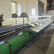 Plants: imagen 4 de 6