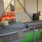 Plants: imagen 5 de 6