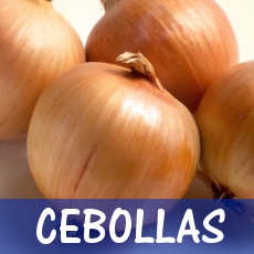 cebollas