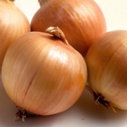 Plants: imagen 1 de 4