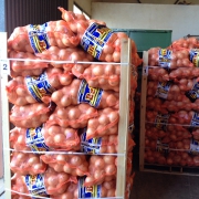 Plants: imagen 4 de 4